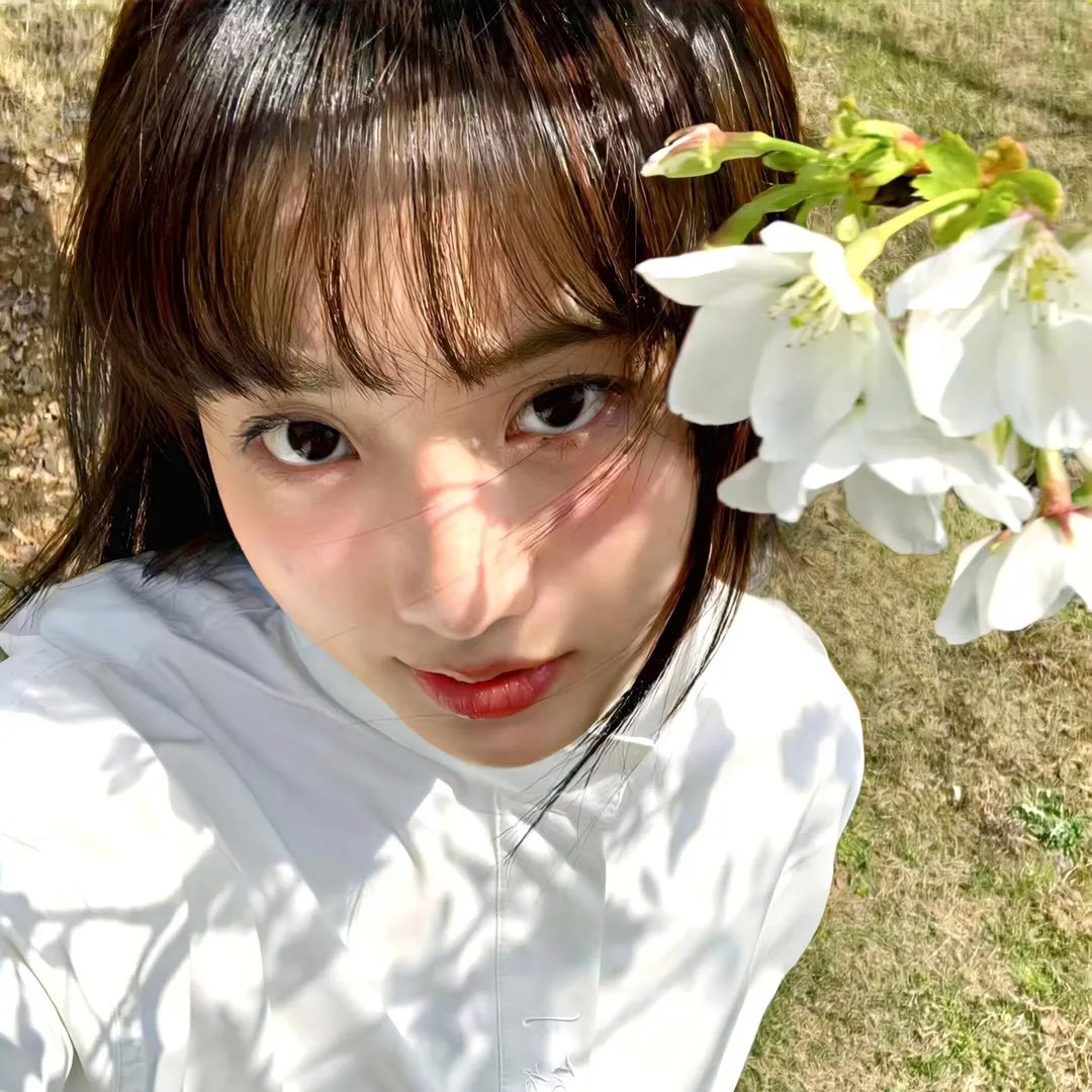 不十分好莱坞