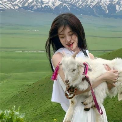 女神捕之心鬼难防